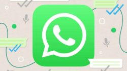 Cara Whatsapp Terlihat Offline